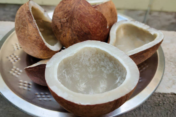 Dry Coconut
